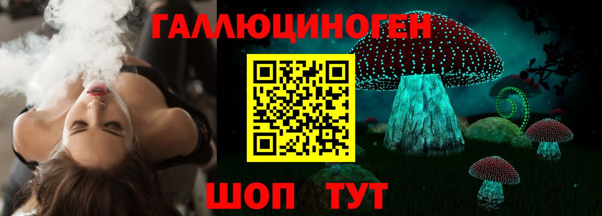 Галлюциногенные грибы Cubensis Коломна